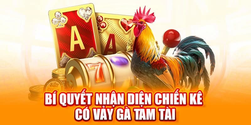 Chia sẻ bí quyết nhận diện gà chọi sở hữu vảy Tam Tài