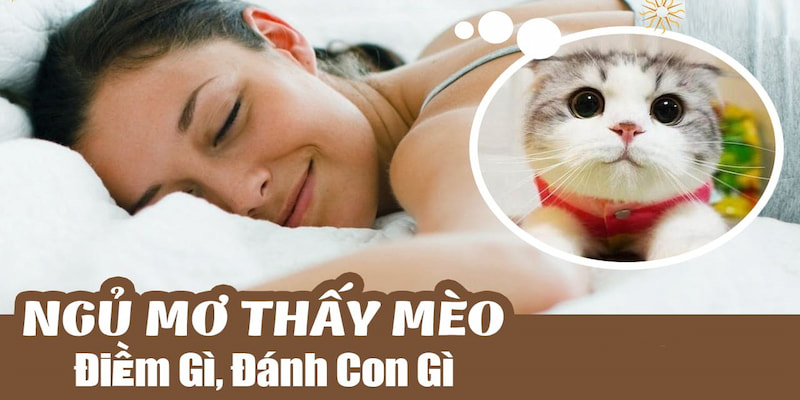 Nằm mơ thấy mèo con đánh số mấy